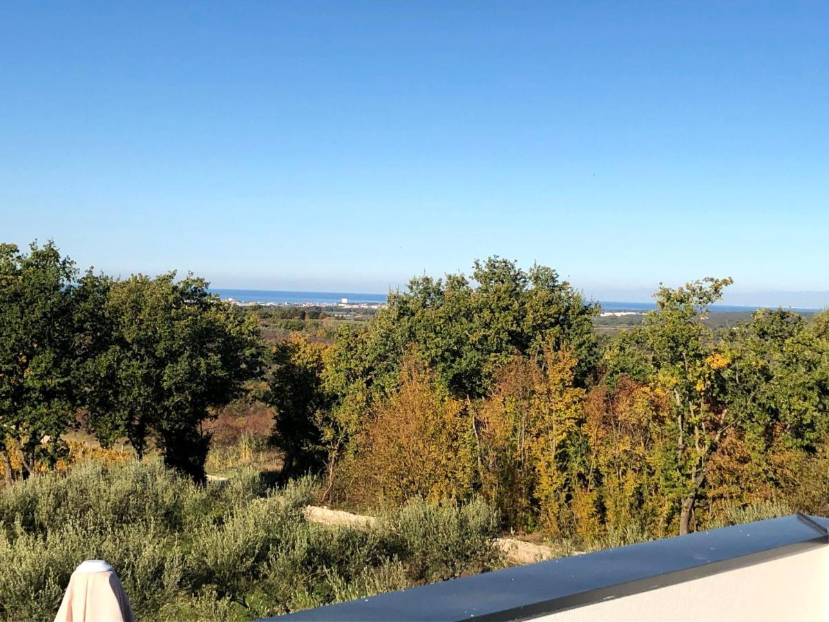 Villa Boiky - Private Pool And Amazing Sea View, Istria Materada エクステリア 写真