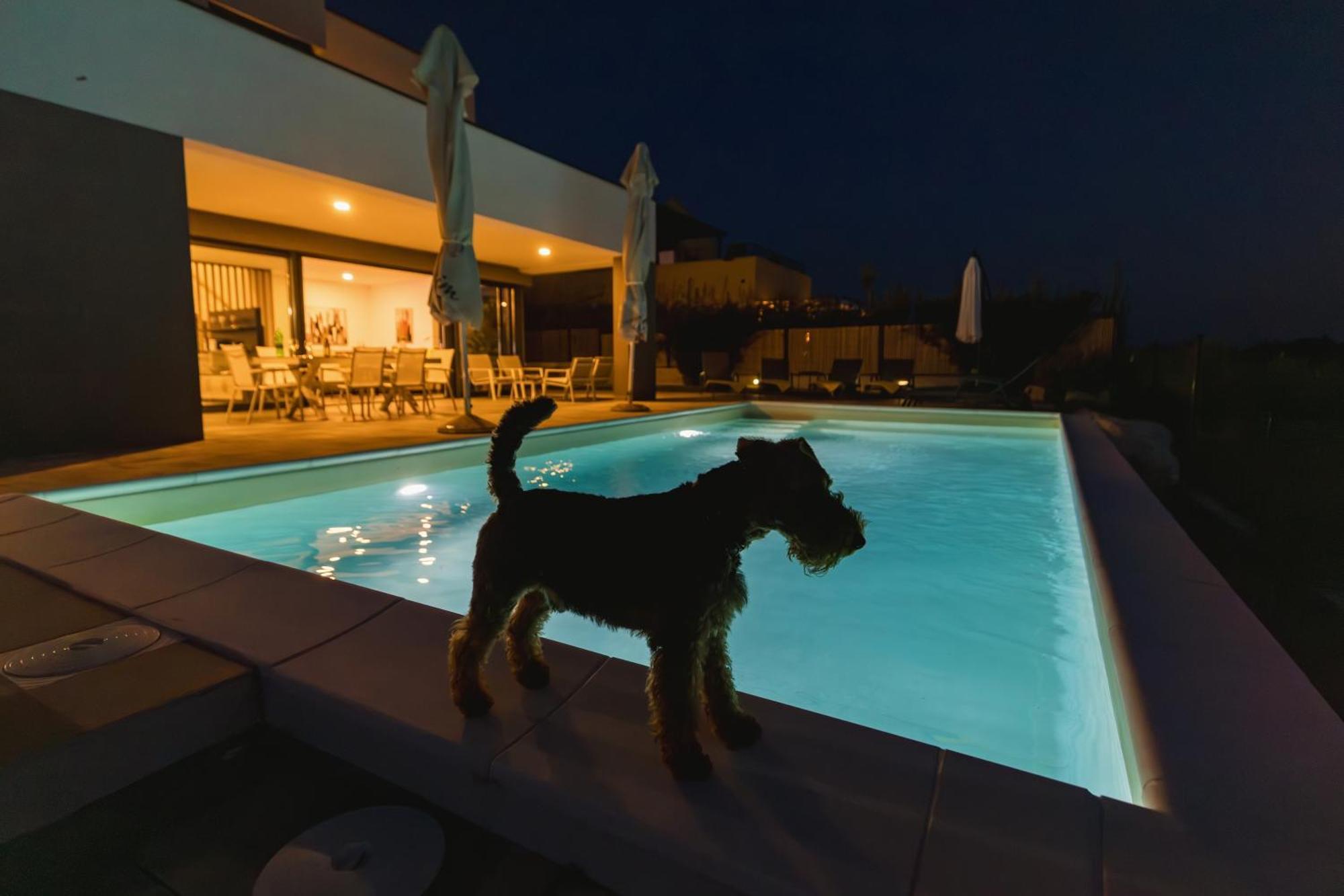 Villa Boiky - Private Pool And Amazing Sea View, Istria Materada エクステリア 写真